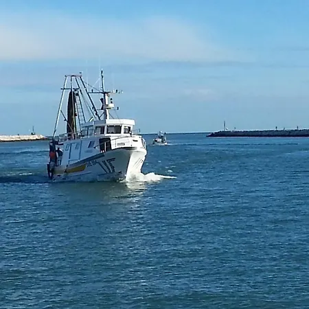 Frontemare Azzurra *