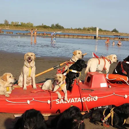 Апартаменты Frontemare Azzurra *