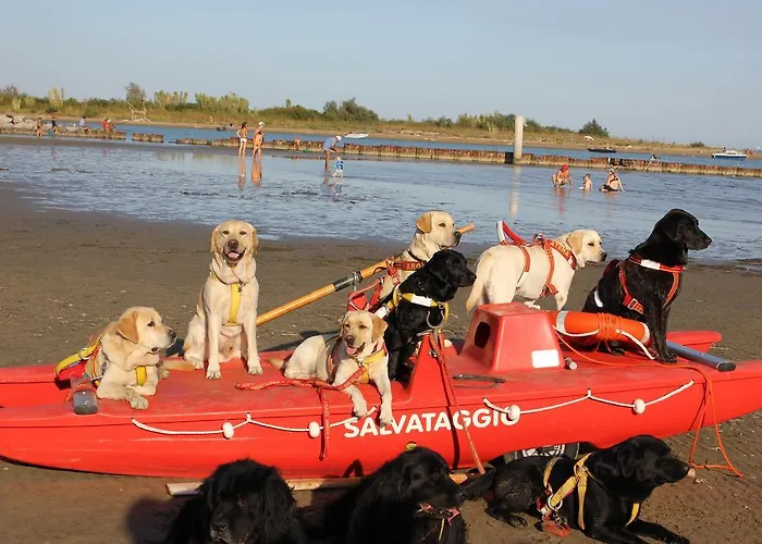 Lejlighed Frontemare Azzurra *